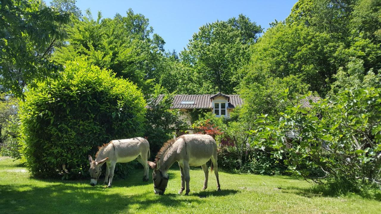 Le Moulin De Pensol - Gites Buitenkant foto