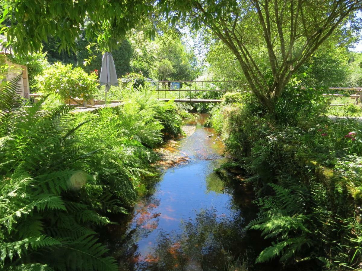 Le Moulin De Pensol - Gites Buitenkant foto