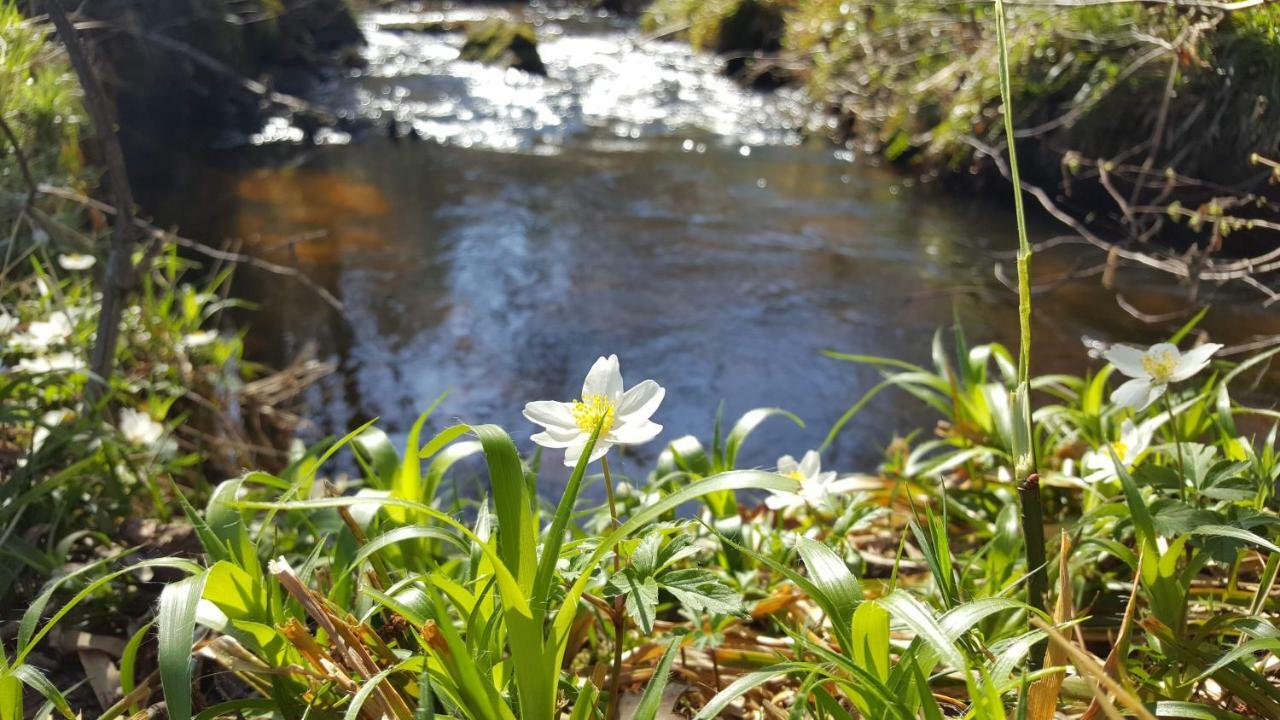 Le Moulin De Pensol - Gites Buitenkant foto